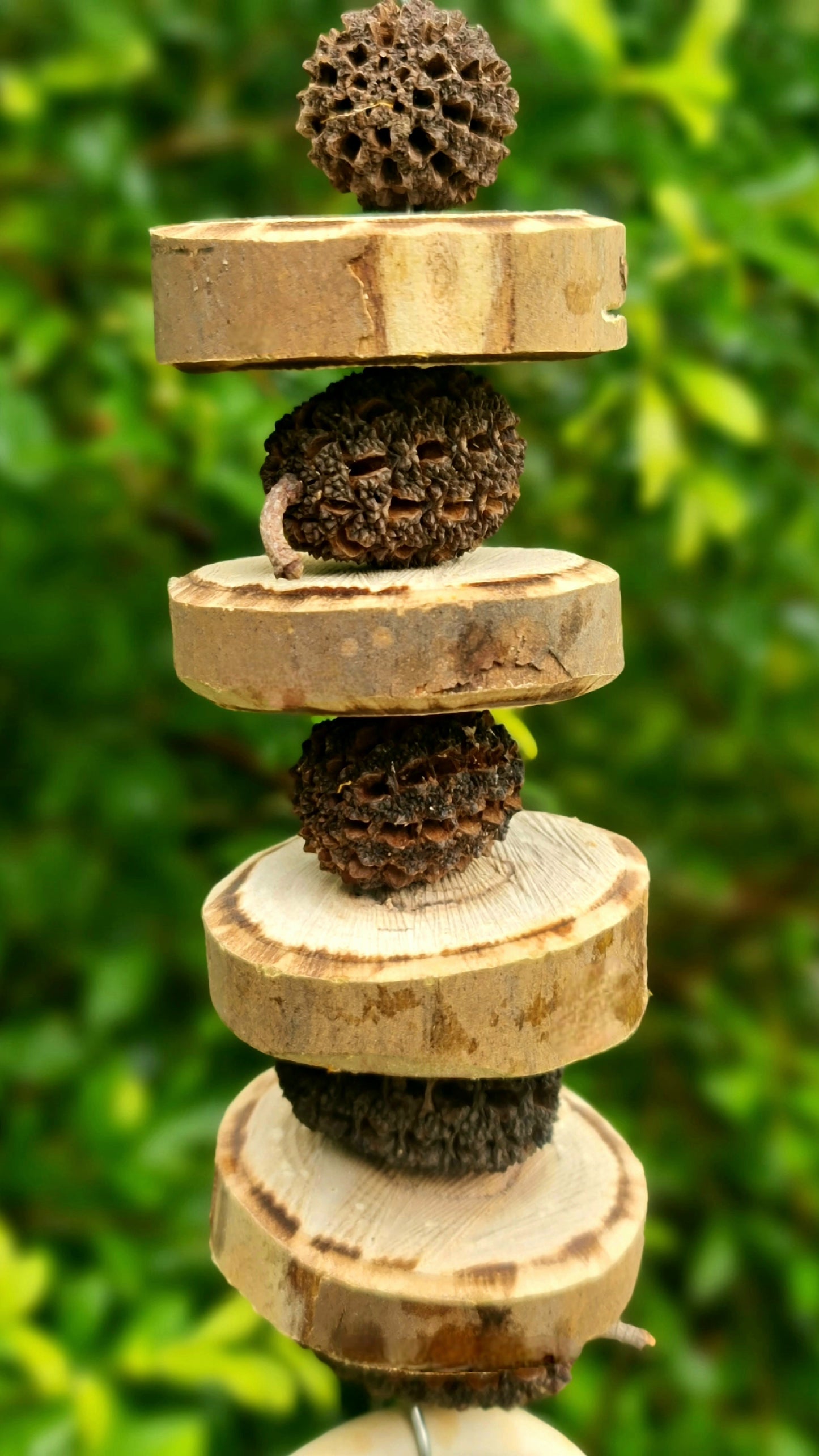 Pancakes 🥞 & Nuts Forest Shreddable Timber Toy