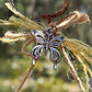 Magic Charm Horseshoe Wall Art