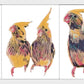 Cute Artsy Birdie Stickers
