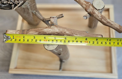 Forest Hide & Seek Play Stand