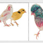 Cute Artsy Birdie Stickers