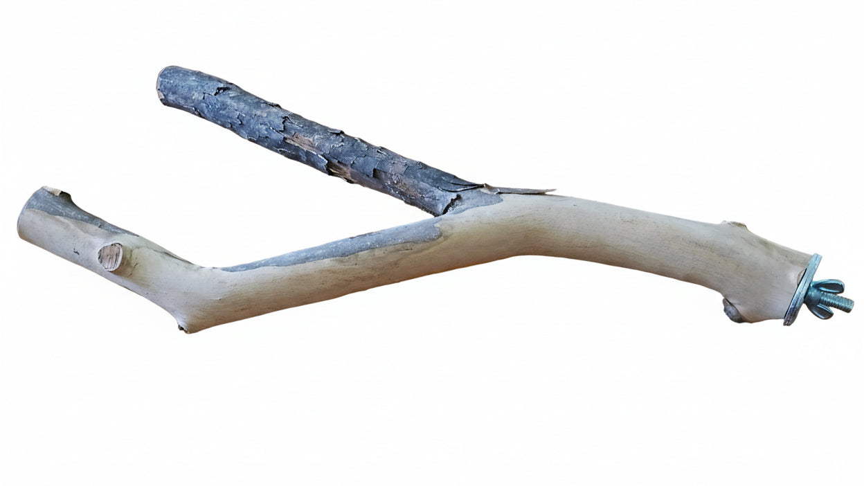 Spotted Gum Fork 40cm Bolt On Perch