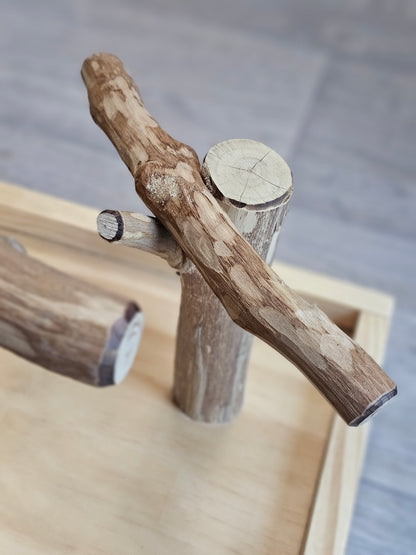 Forest Hide & Seek Play Stand