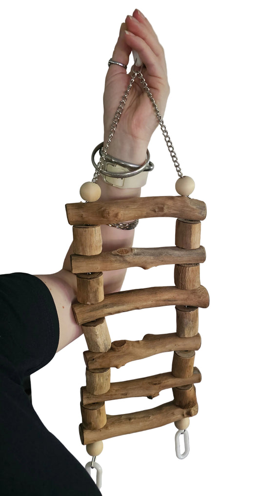 Lots-a-Timber Ladder