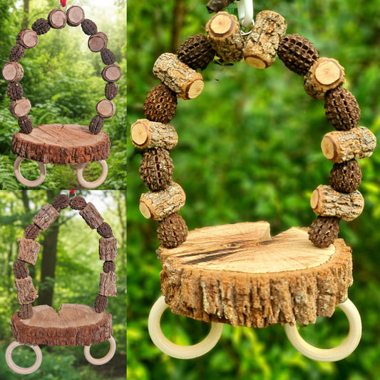 Casuarina Platform Swing