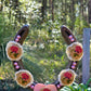 Strawberry Shortcake Horseshoe Wall Art