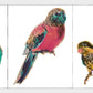 Cute Artsy Birdie Stickers