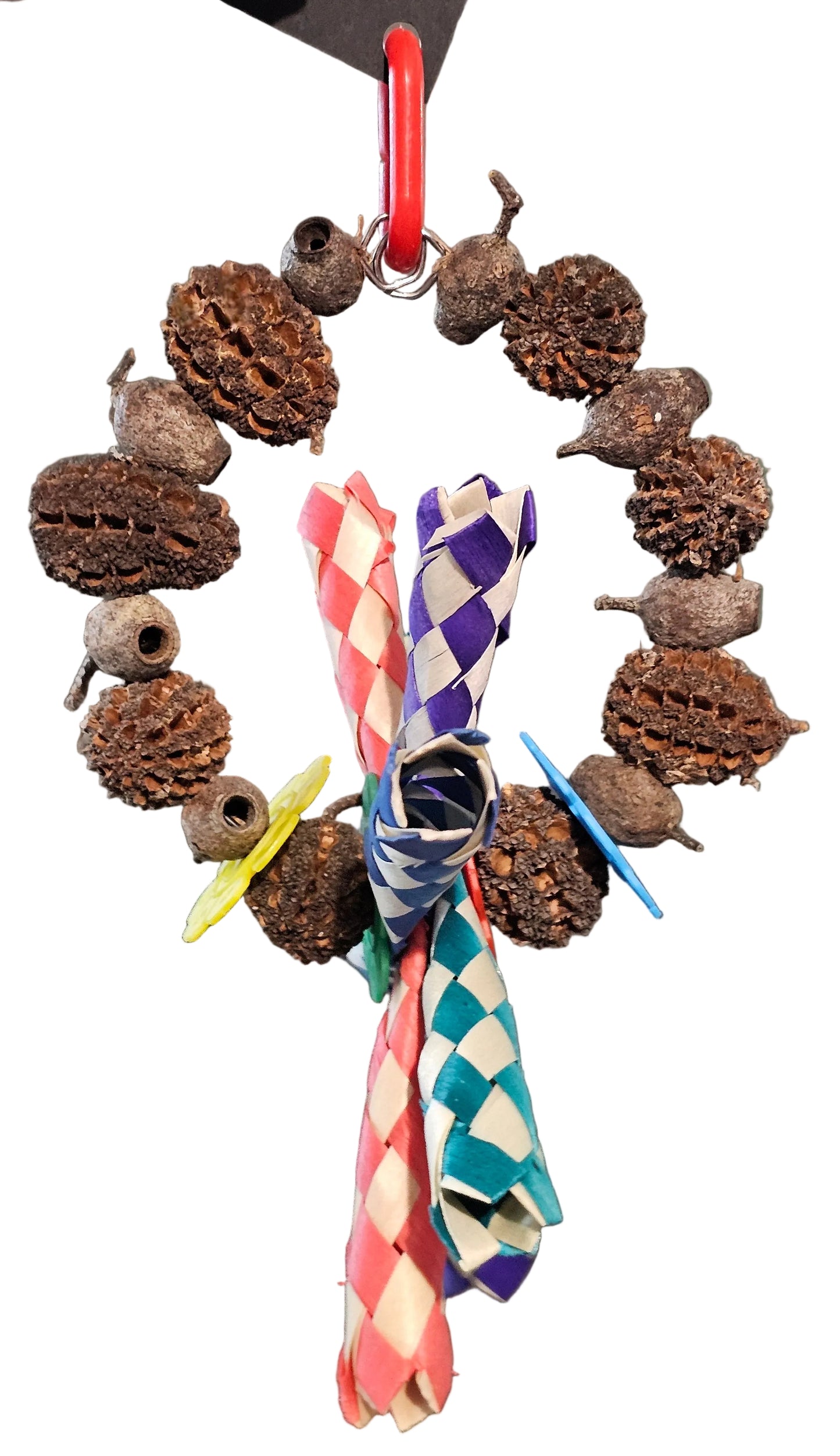 Shredder Nut Wheel Forest Shreddables