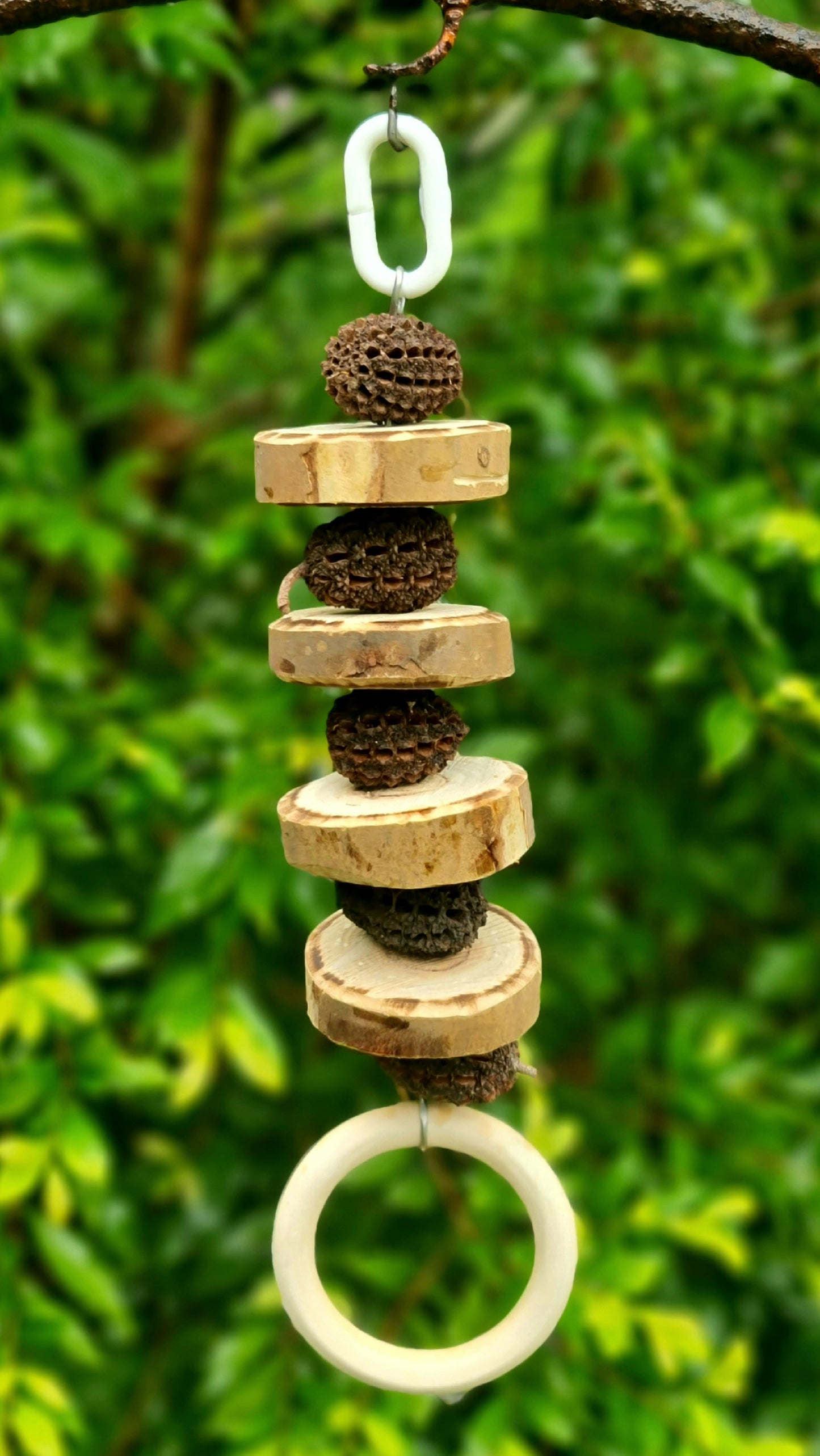 Pancakes 🥞 & Nuts Forest Shreddable Timber Toy