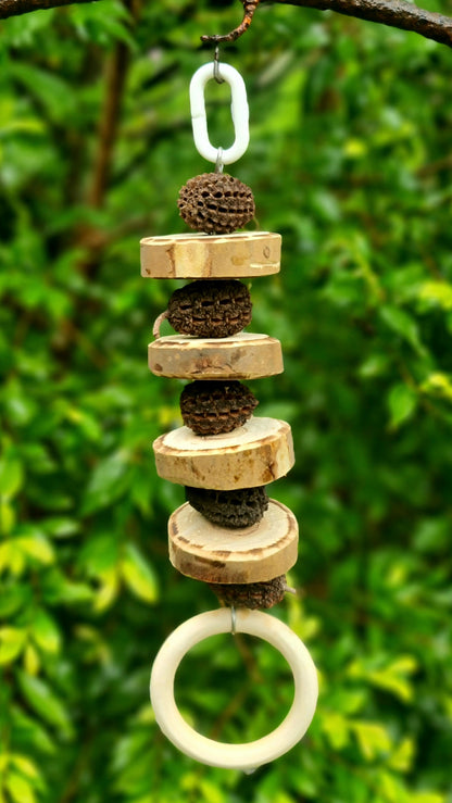 Pancakes 🥞 & Nuts Forest Shreddable Timber Toy