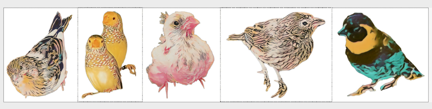 Cute Artsy Birdie Stickers