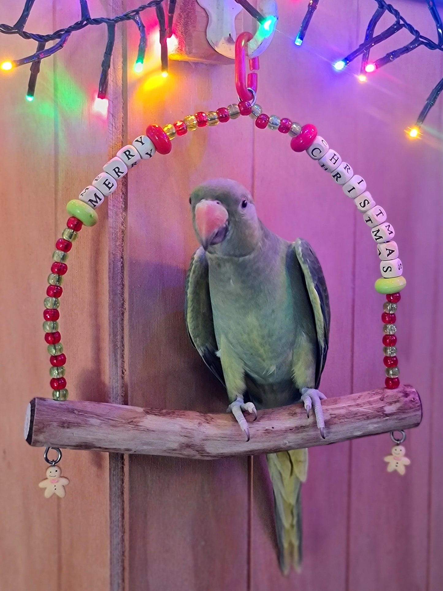 Merry Christmas Swing Small/Medium