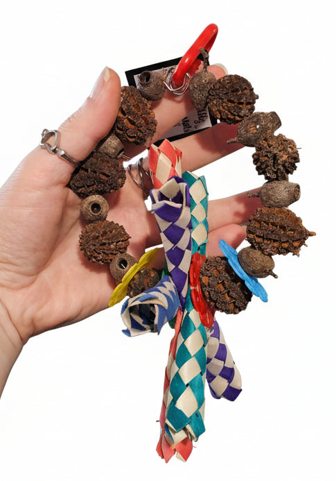 Shredder Nut Wheel Forest Shreddables