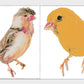 Cute Artsy Birdie Stickers