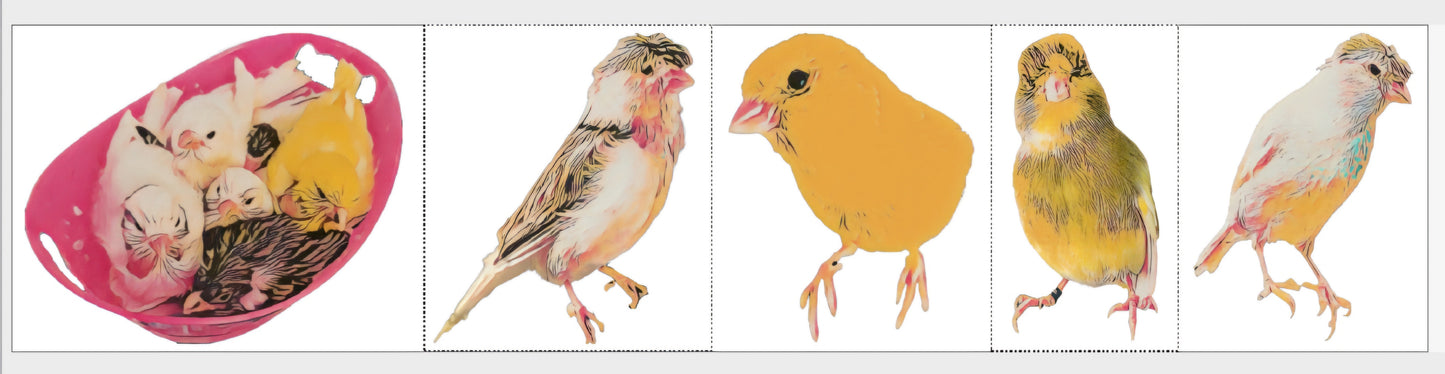 Cute Artsy Birdie Stickers