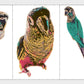 Cute Artsy Birdie Stickers