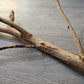 Gum Fork 40cm x 2/2.5/3cm Bolt On Perch