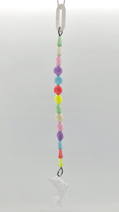 Oceanside Shells & Dolphin