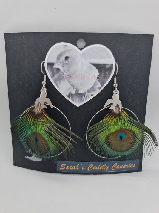 Hoop Peacock Feather Earrings