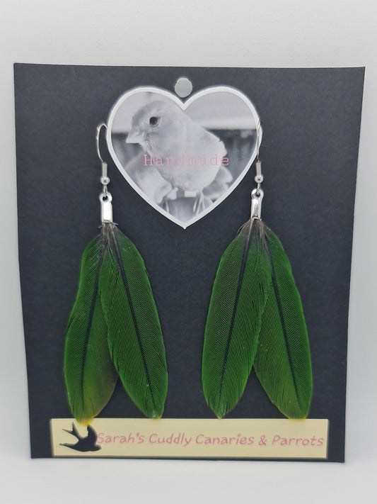 Simply Caique Parrot Feather Earrings