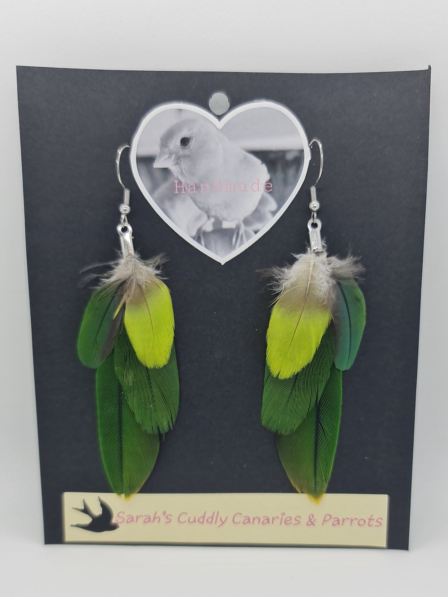 Multi Green Parrots Feather Earrings