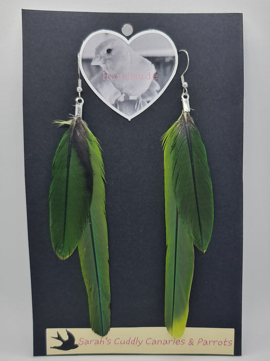 Caique & Quaker Green Feather Earrings