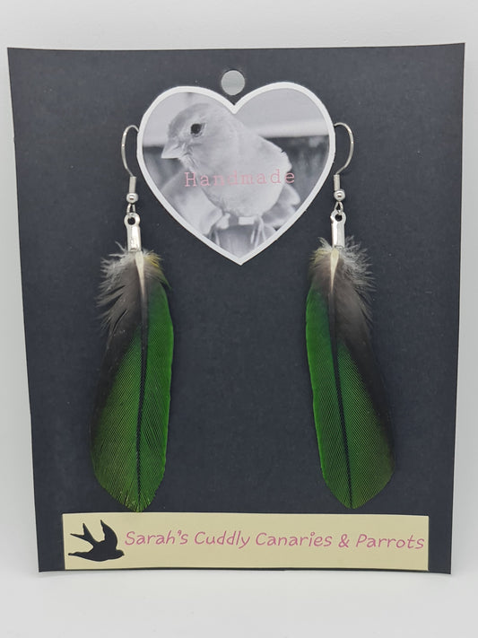 Single Caique Parrot Feather Earrings