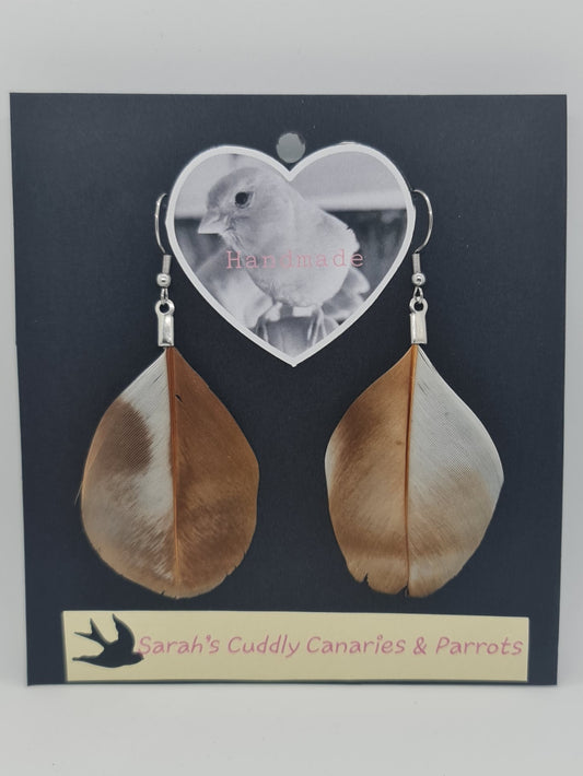 Brown & White Rounded Feather Earrings