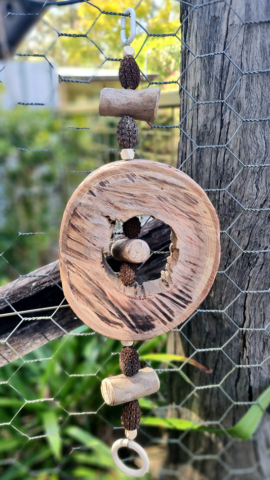 Spotted Gum Lolly Ring Casuarina Nut Forest Shreddable Toy