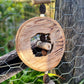 Spotted Gum Lolly Ring Casuarina Nut Forest Shreddable Toy