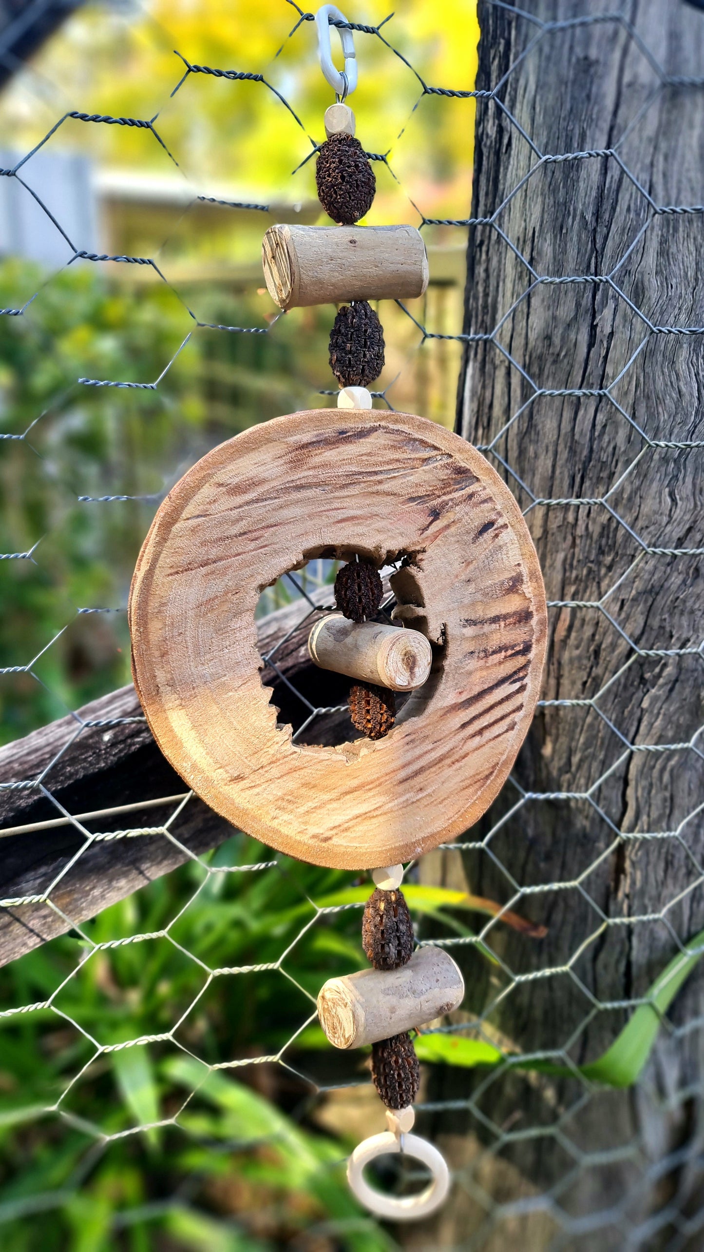 Spotted Gum Lolly Ring Casuarina Nut Forest Shreddable Toy