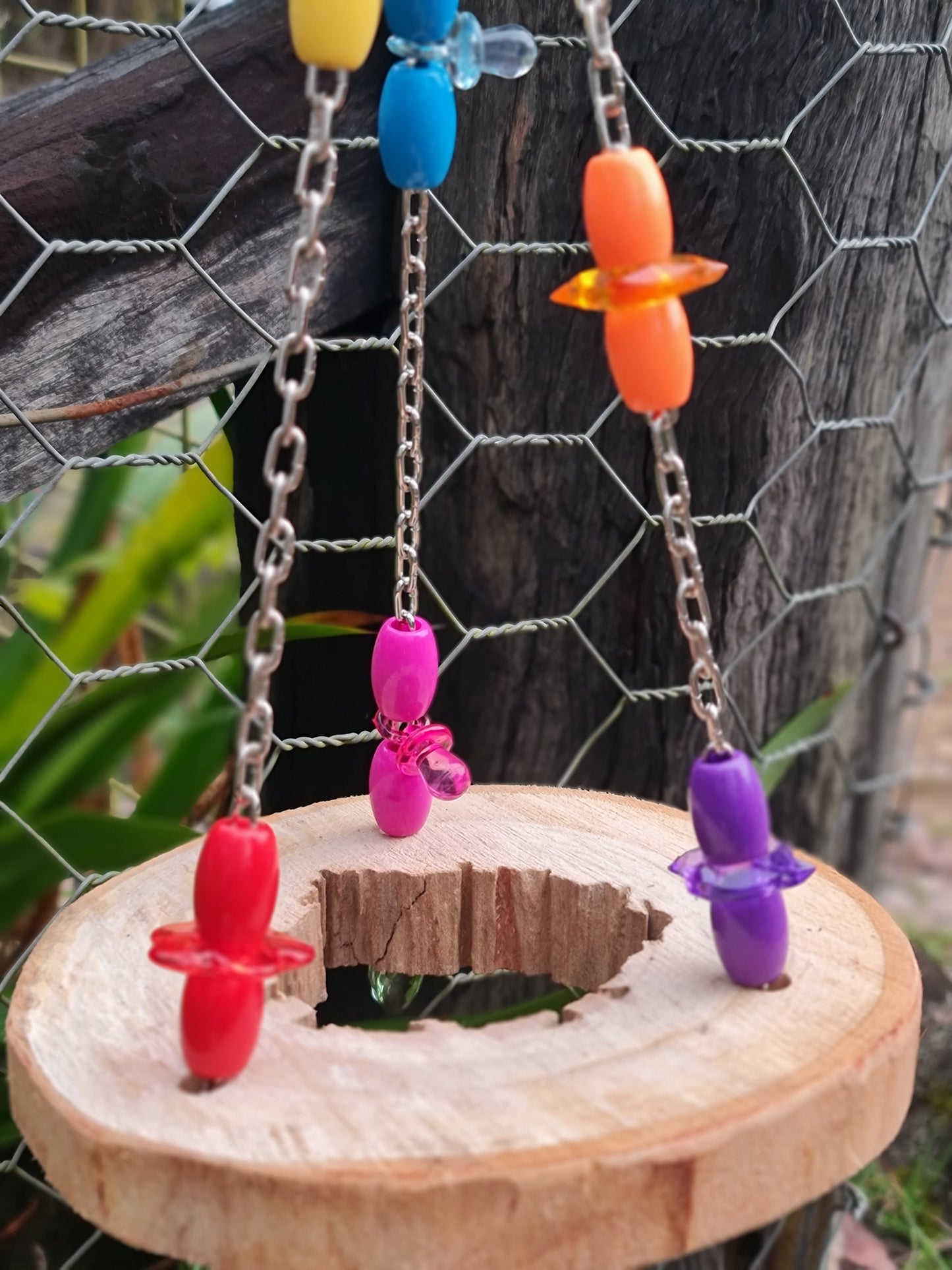 Spotted Gum Ring Acrylic Platform Swing