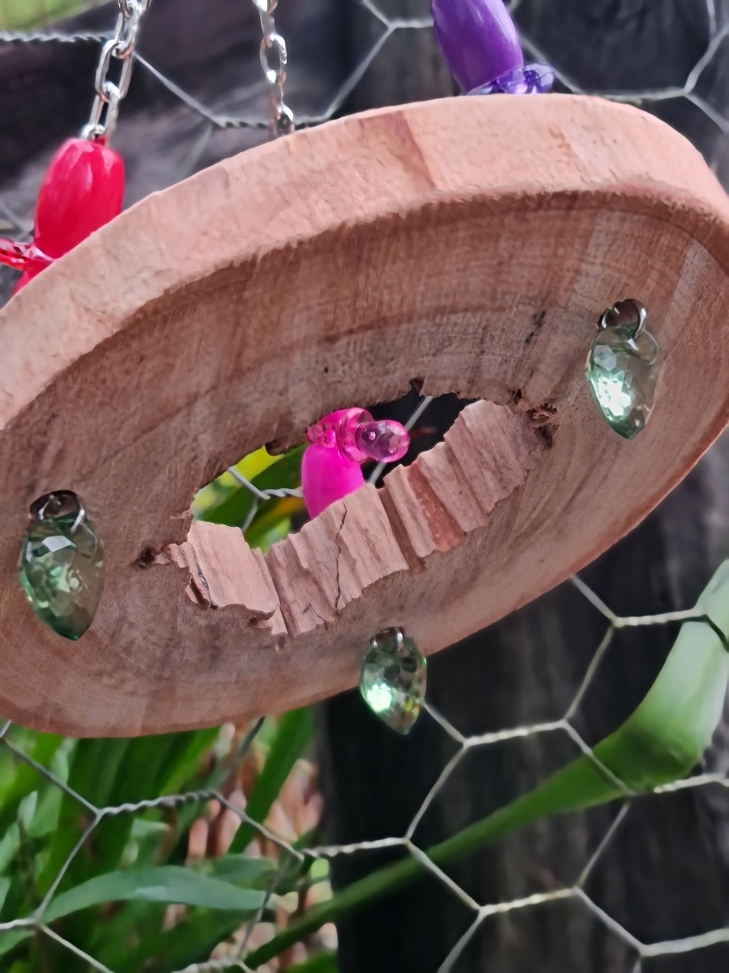 Spotted Gum Ring Acrylic Platform Swing