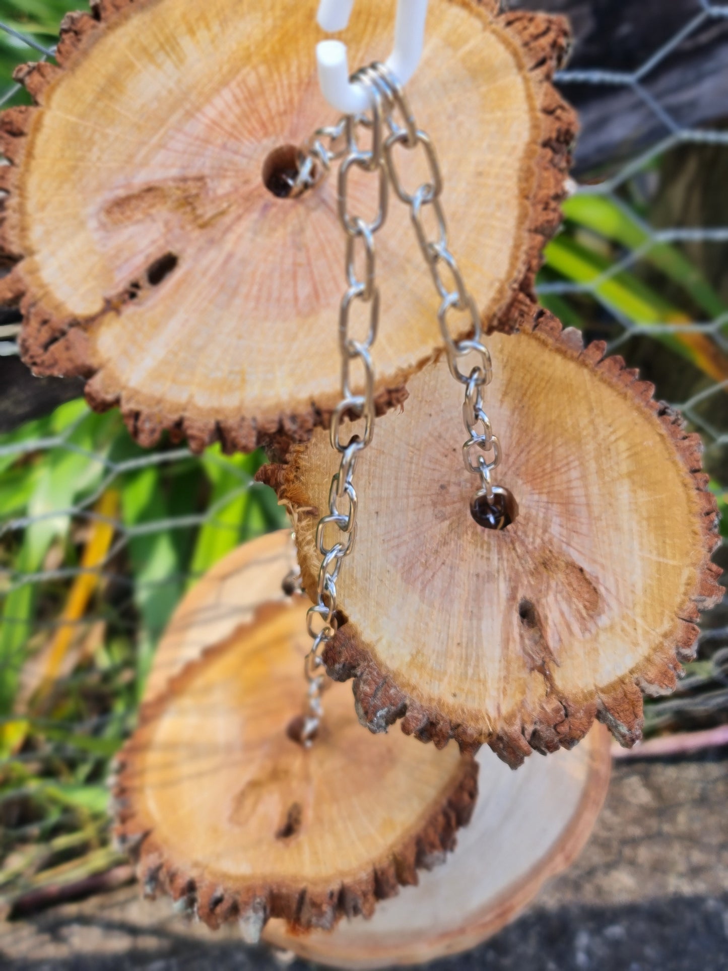 Spotted Gum Ring Casuarina Platform Swing