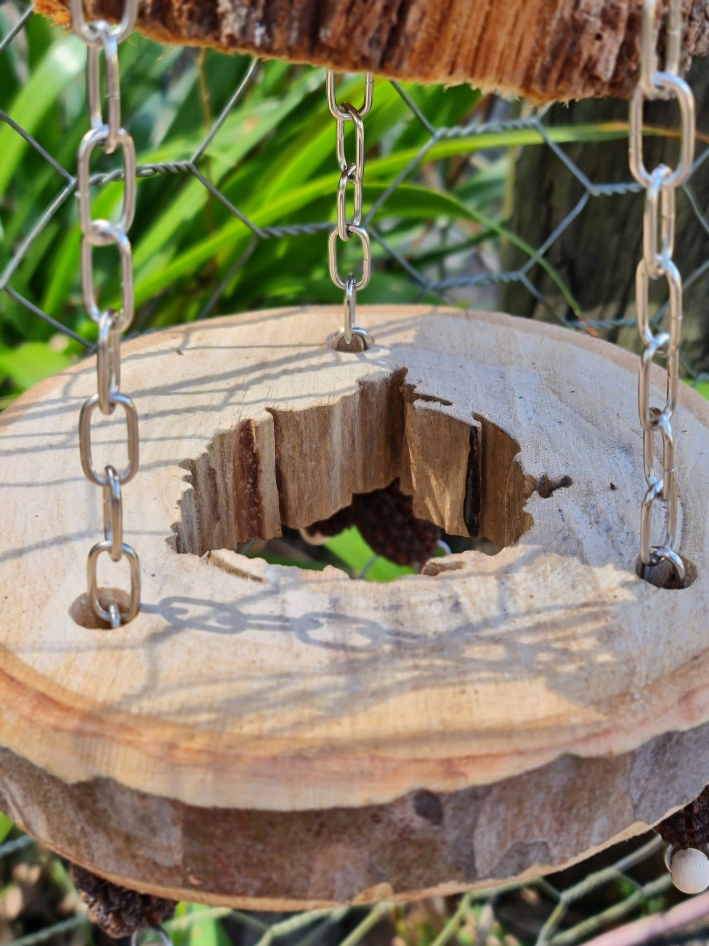 Spotted Gum Ring Casuarina Platform Swing