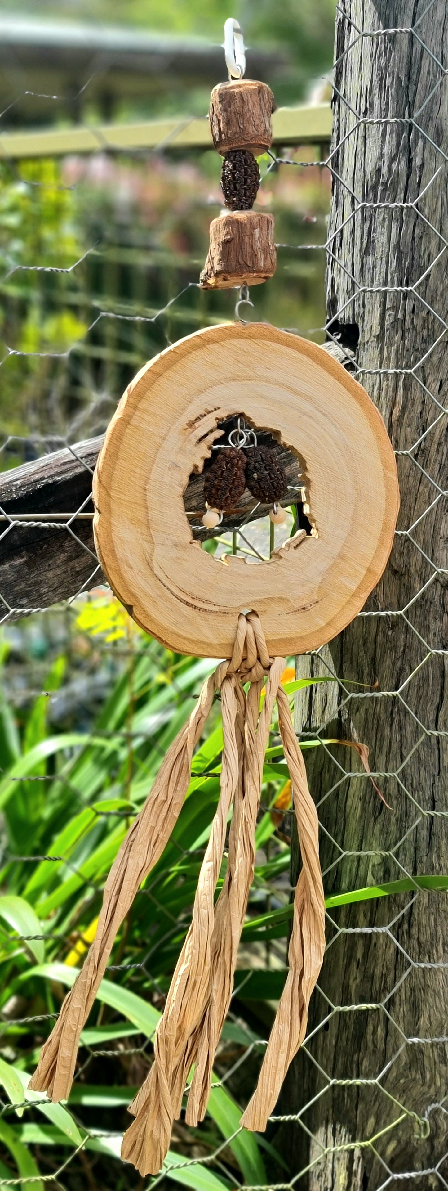 Spotted Gum Candy Ring Casuarina Nut Paper Forest Shreddable Toy