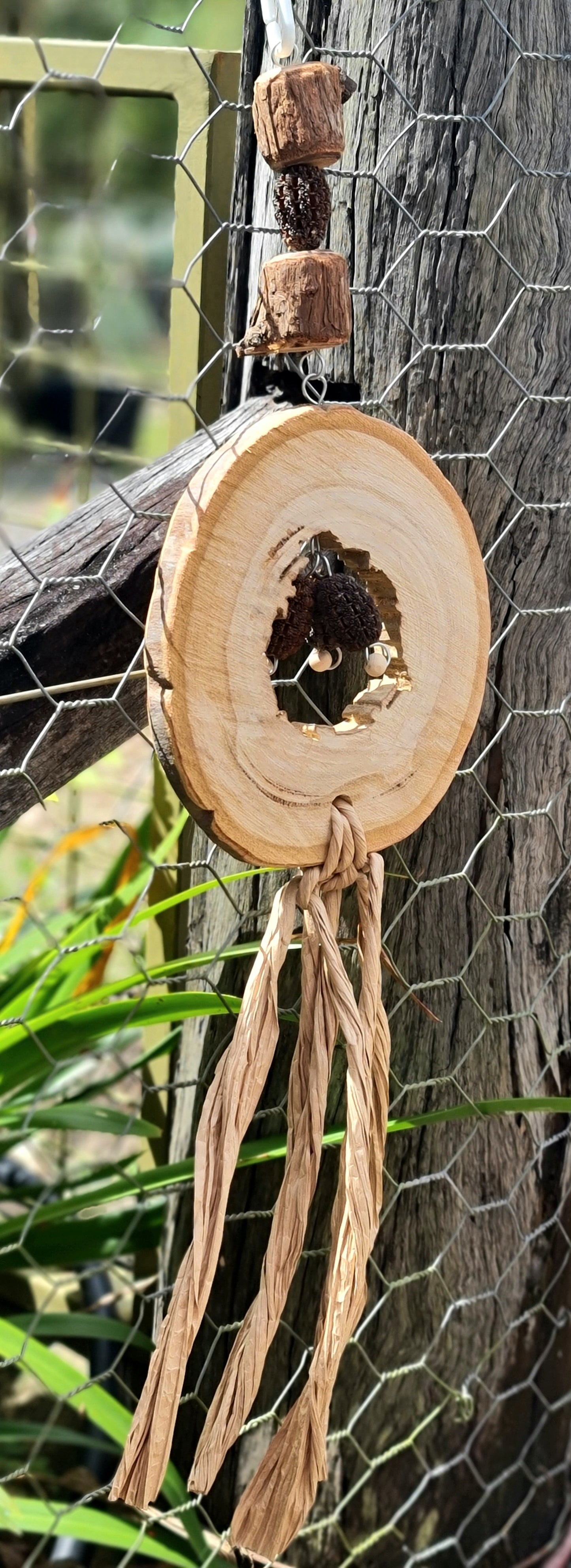 Spotted Gum Candy Ring Casuarina Nut Paper Forest Shreddable Toy