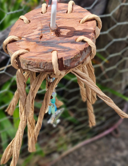 Oceanside Ironbark Jelly Fish Toy