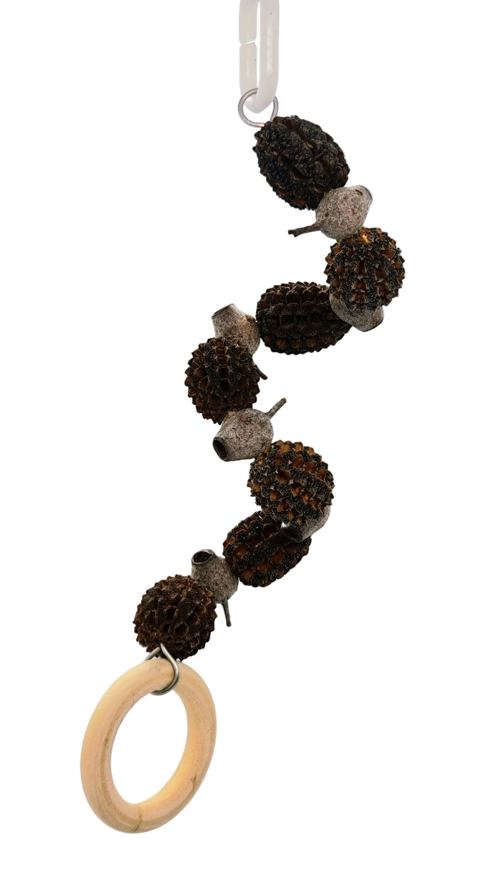 Totally Nuts Forest Shreddable Toy