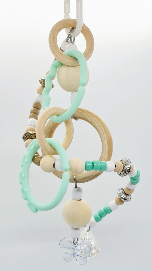 Ombre Mint & Rings Spiral Toy