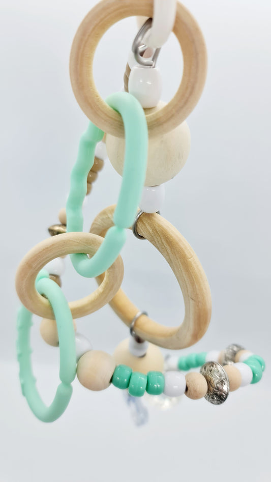 Ombre Mint & Rings Spiral Toy