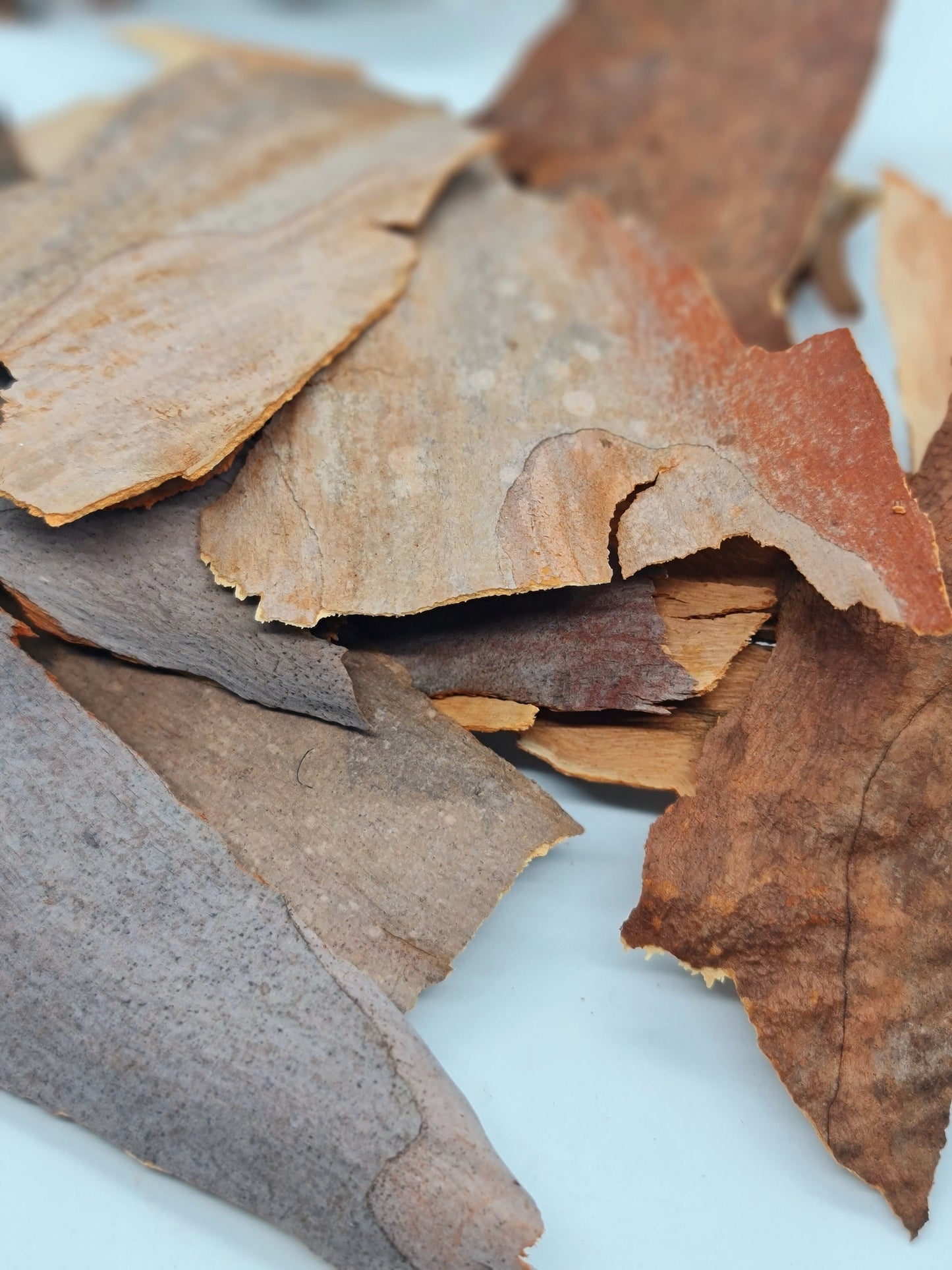 Spotted Gum Birdie Bark Chips