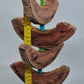 Crescent Pumpkin Sliced Timber Aqua/Green Toy
