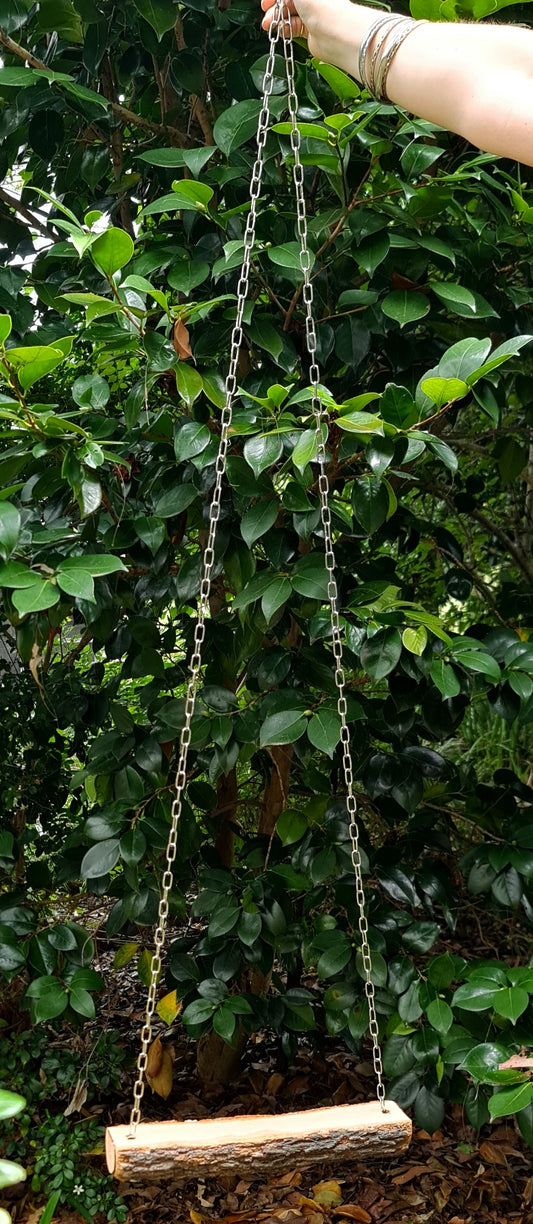 Large Chain Casuarina Chicken Swing