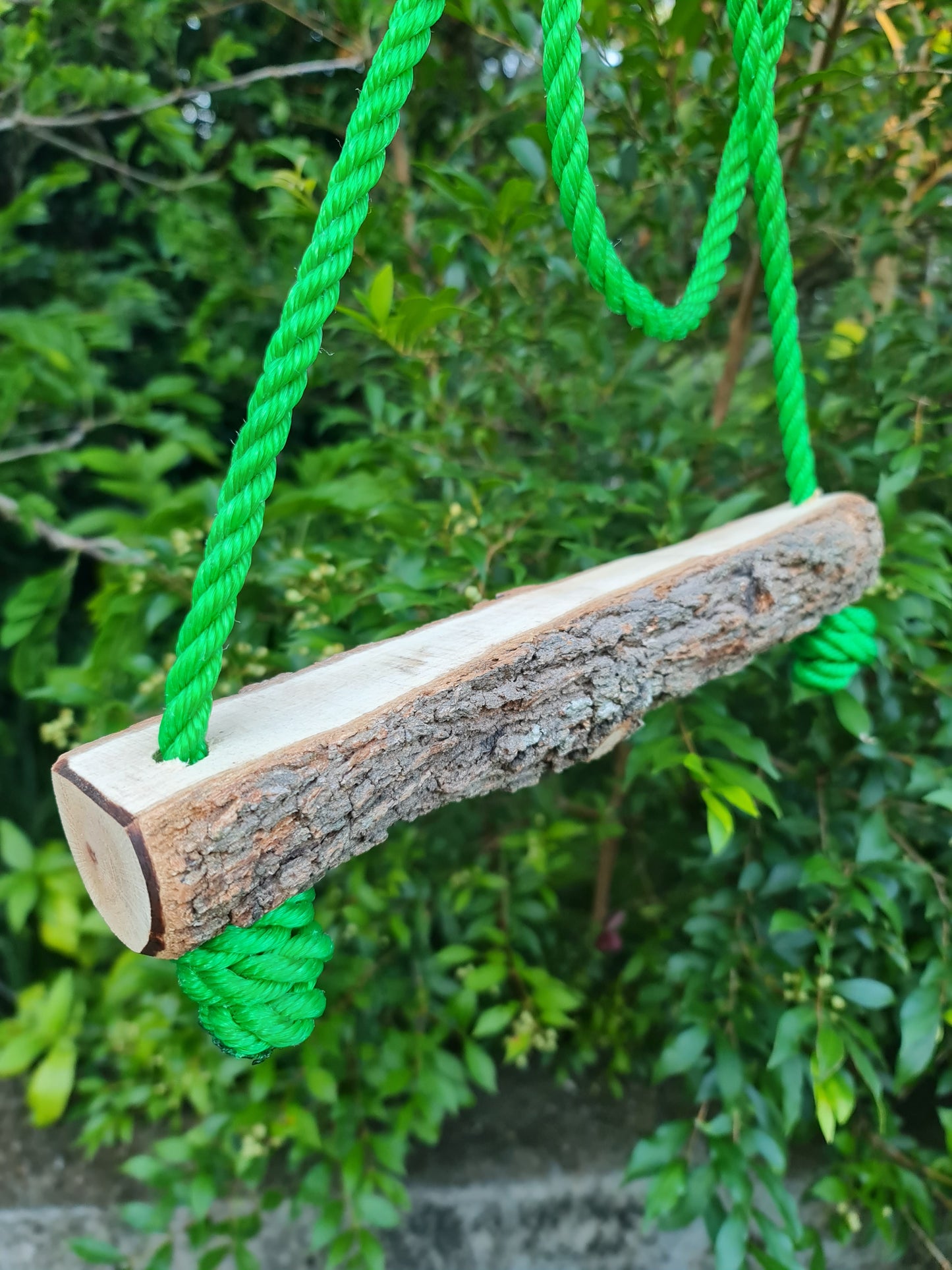 Large Green Rope Casuarina Chicken Swing