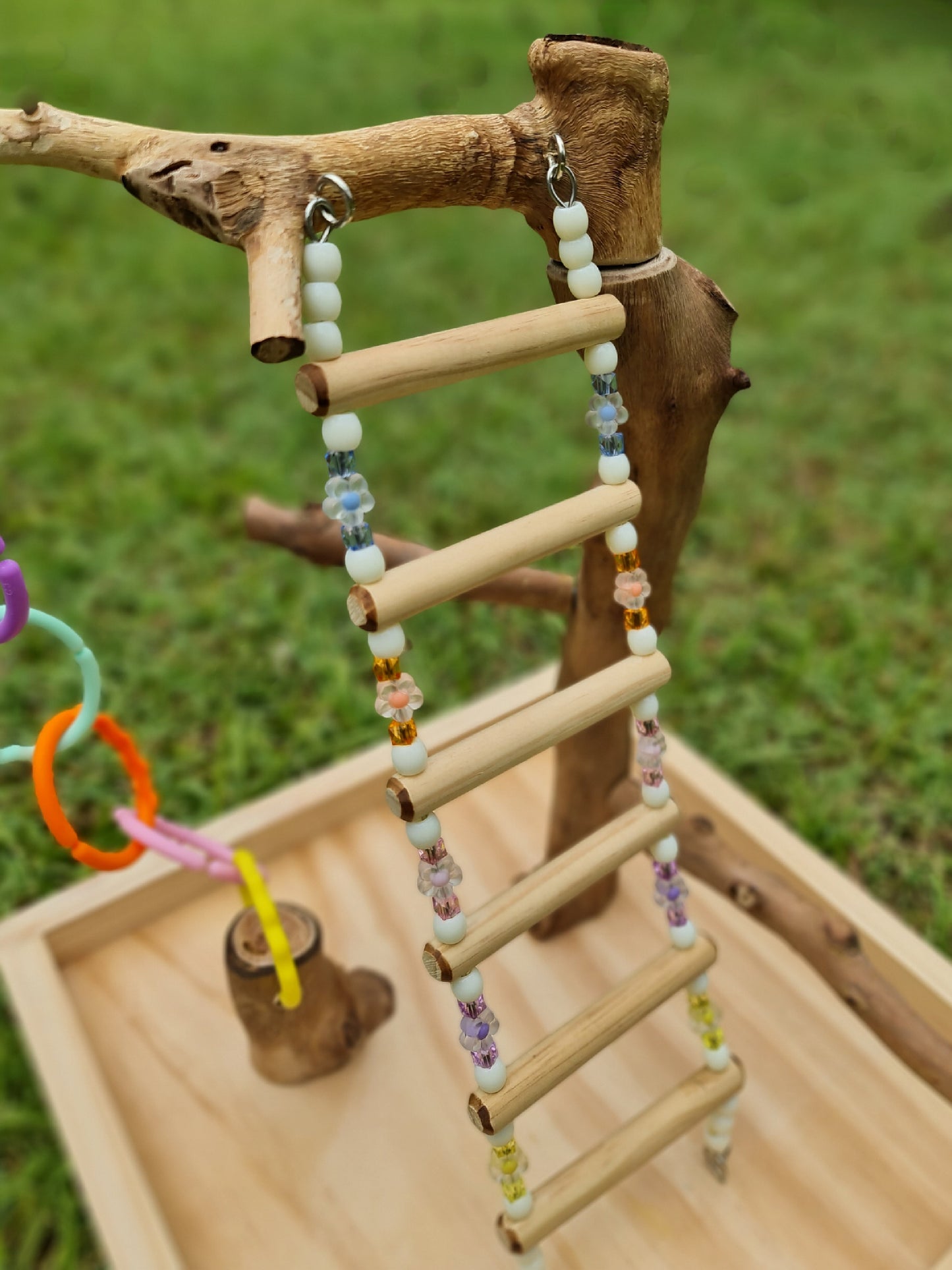 Climbing Ladder & Links Buildable Play Stand