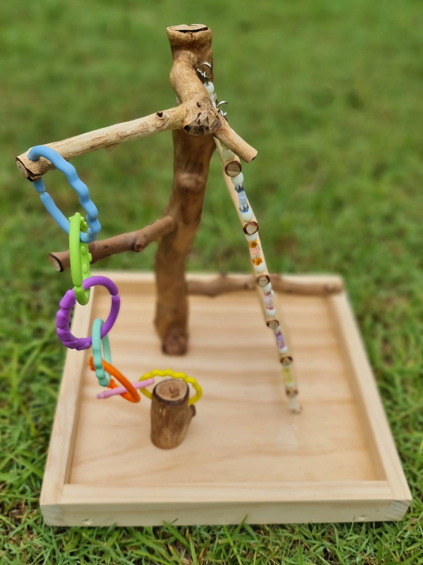 Climbing Ladder & Links Buildable Play Stand