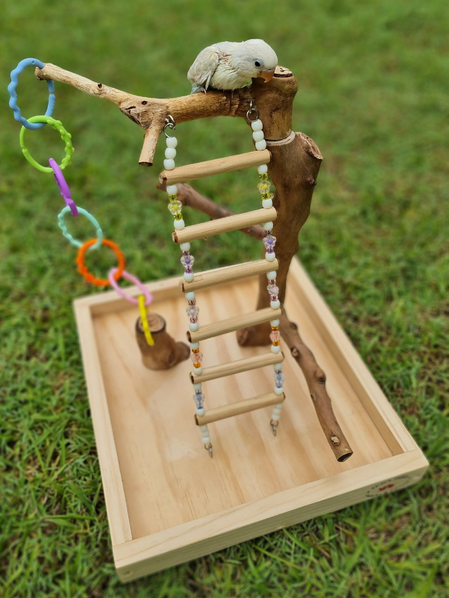 Climbing Ladder & Links Buildable Play Stand