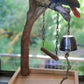 Climbing Ding & Swing Play Stand