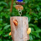All About Nuts Forager Toy